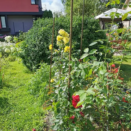 Pludmales Maja